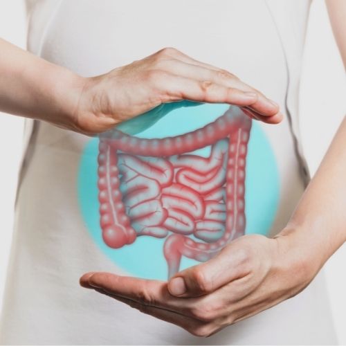 Human Body and the Trinities of IBS Treatment
